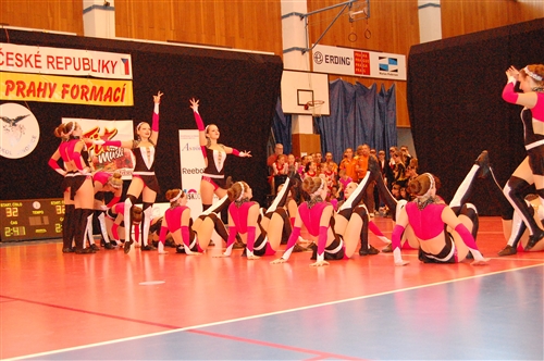 Obrázek v galerii