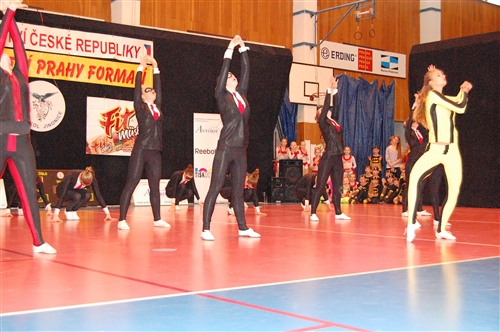 Obrázek v galerii