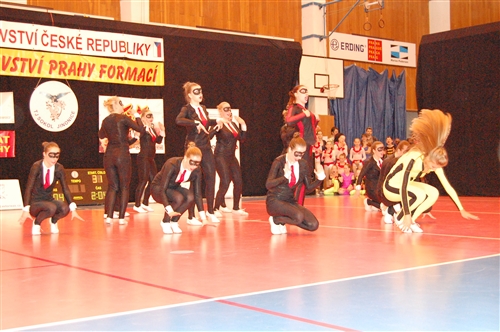 Obrázek v galerii