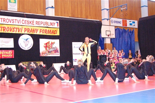 Obrázek v galerii