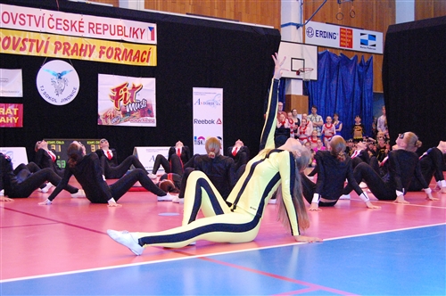 Obrázek v galerii