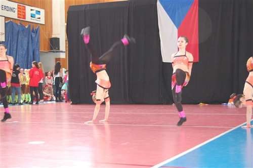 Obrázek v galerii