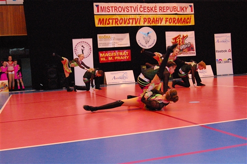 Obrázek v galerii