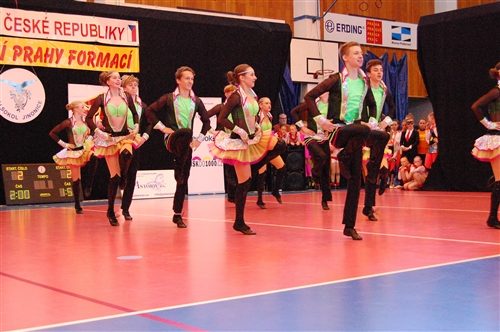 Obrázek v galerii