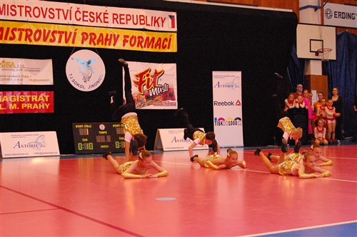 Obrázek v galerii