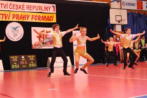 Obrázek v galerii