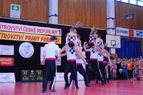 Obrázek v galerii