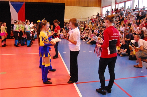 Obrázek v galerii