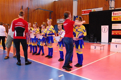 Obrázek v galerii
