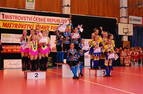 Obrázek v galerii