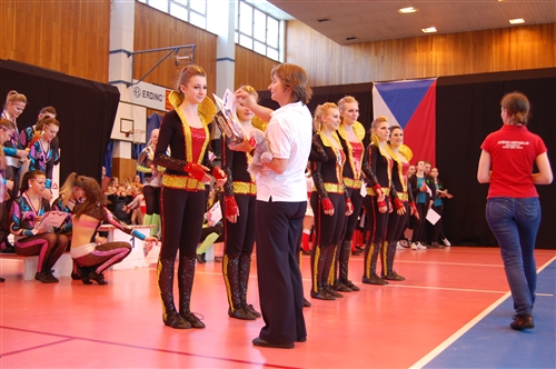 Obrázek v galerii