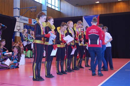 Obrázek v galerii