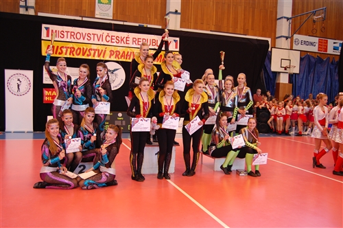 Obrázek v galerii
