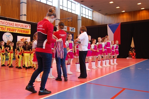 Obrázek v galerii