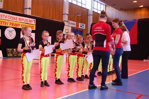 Obrázek v galerii