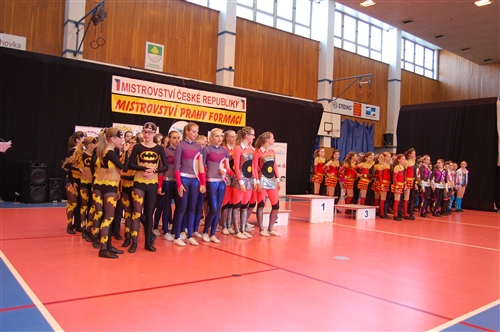 Obrázek v galerii