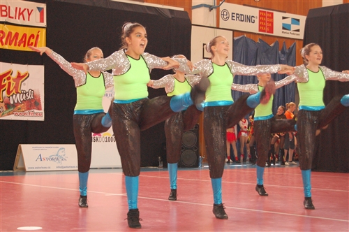 Obrázek v galerii