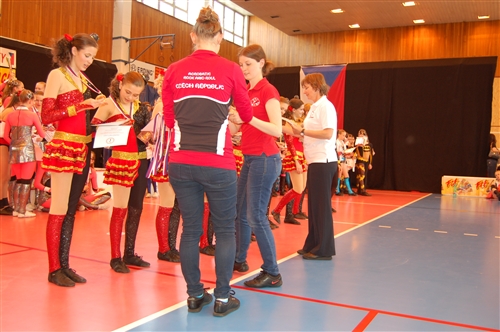 Obrázek v galerii