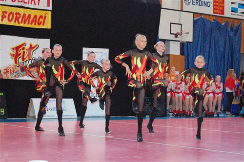 Obrázek v galerii