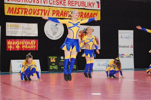 Obrázek v galerii