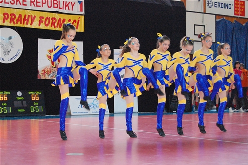Obrázek v galerii