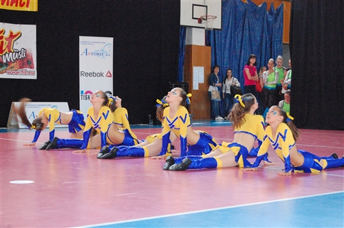 Obrázek v galerii