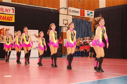 Obrázek v galerii