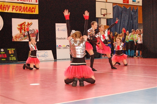 Obrázek v galerii