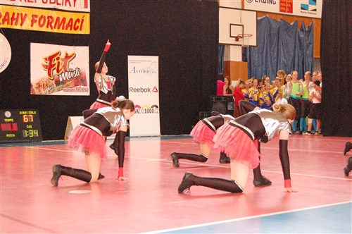 Obrázek v galerii