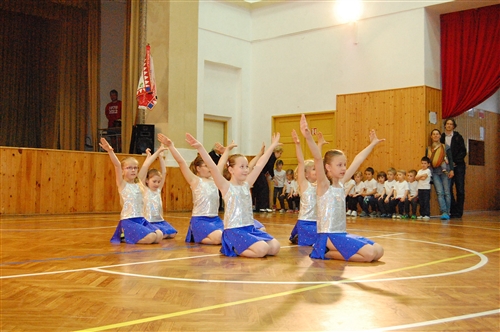Obrázek v galerii