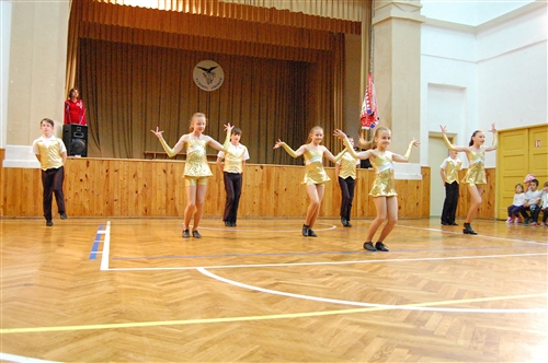 Obrázek v galerii