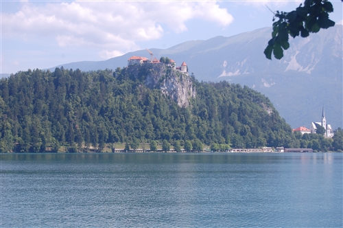 Obrázek v galerii