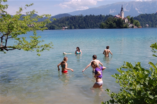 Obrázek v galerii
