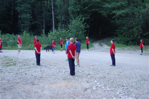 Obrázek v galerii