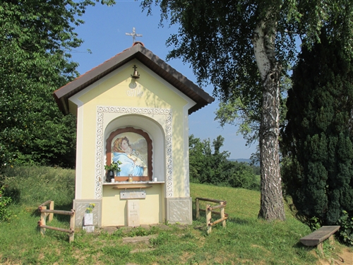 Obrázek v galerii