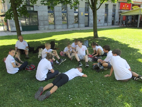 Obrázek v galerii