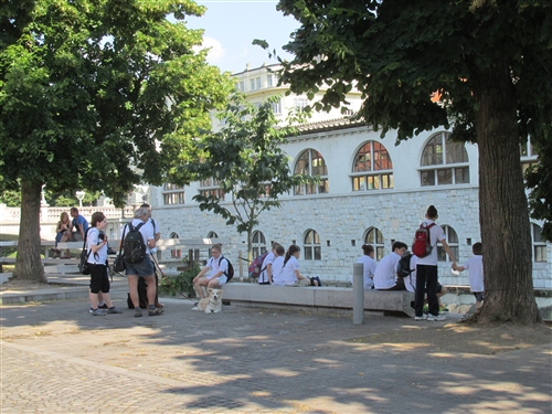Obrázek v galerii