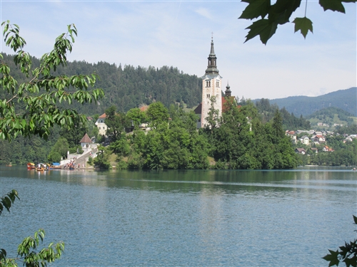 Obrázek v galerii