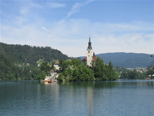 Obrázek v galerii