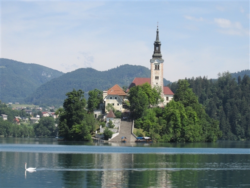 Obrázek v galerii