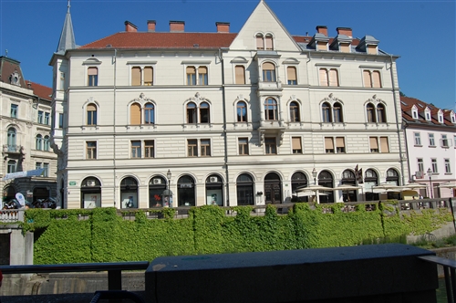 Obrázek v galerii