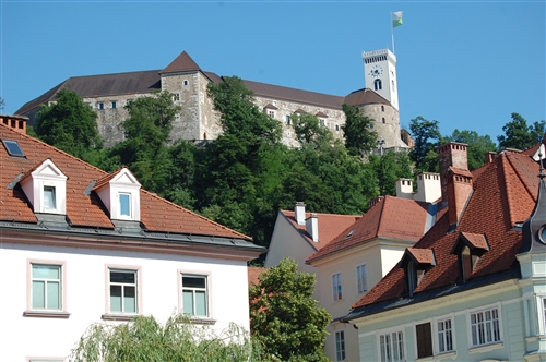 Obrázek v galerii