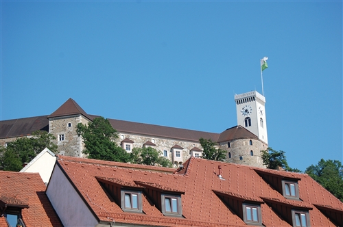 Obrázek v galerii