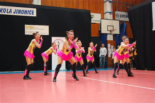 Obrázek v galerii
