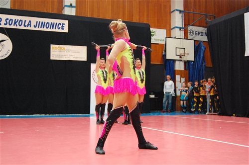 Obrázek v galerii