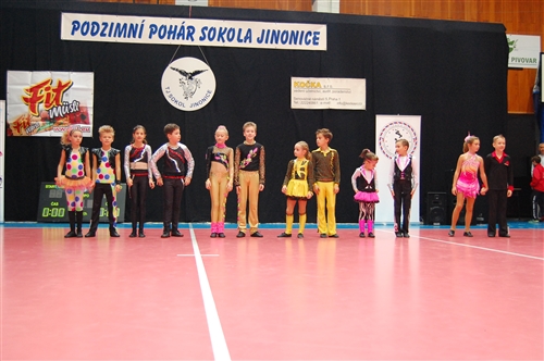 Obrázek v galerii