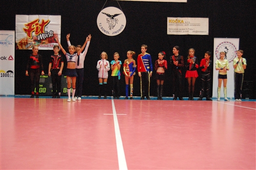 Obrázek v galerii