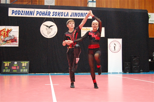 Obrázek v galerii