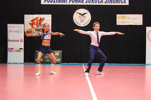 Obrázek v galerii