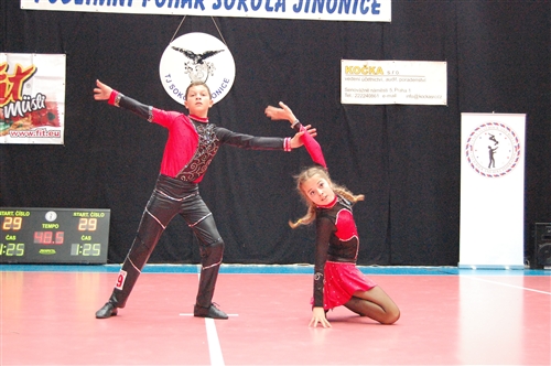 Obrázek v galerii